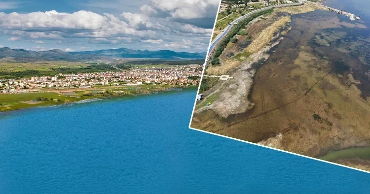 Ölmesine seyirci kalmayız dedi ve kodu açıkladı! Bakanlık harekete geçti