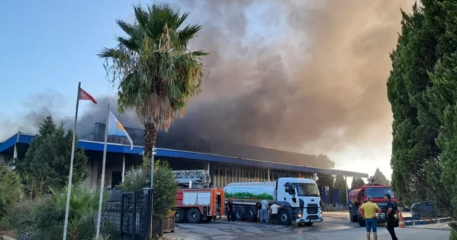 Antalya da soğuk hava deposu ve imalathanede yangın Antalya Haberleri