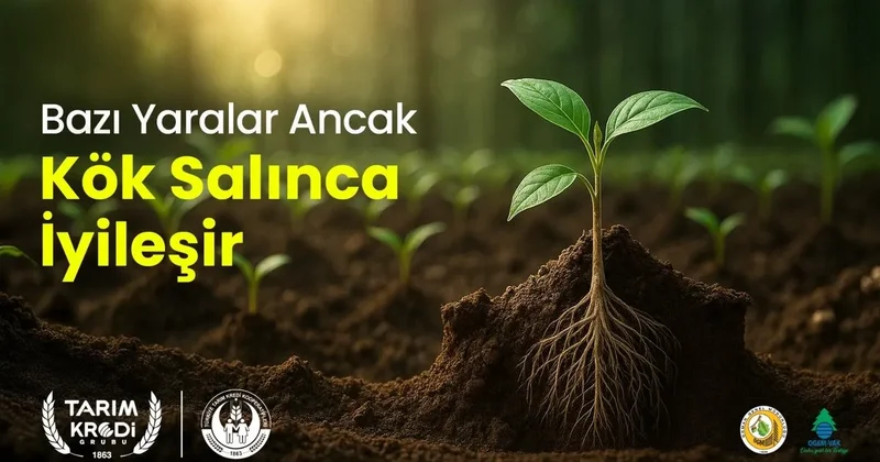 Tarım Kredi 62 bin fidan bağışı ile geleceğe nefes oluyor