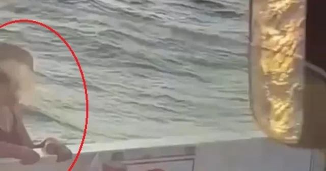 Kadın yolcunun feribottan atladığı anlar kamerada Yalova Haberleri