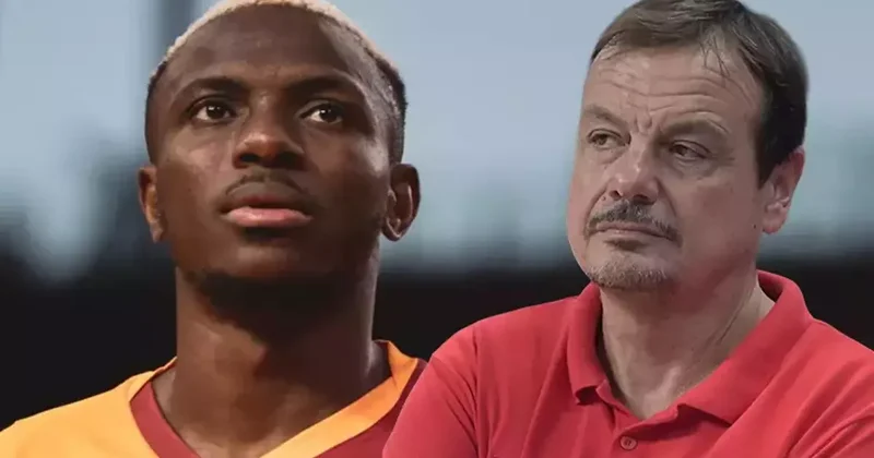 Ergin Ataman dan çok konuşulacak Galatasaray ve Osimhen çıkışı Sadece Türkiye şampiyonluğu için mi? Fanatik Gazetesi Galatasaray (GS) Haberleri Spor