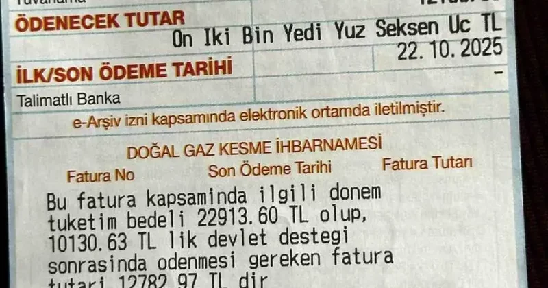 Doğalgaz faturası şoku! Gelen ücret dudak uçuklattı