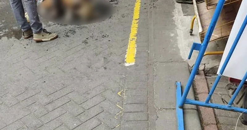 Ağızlıksız gezdirilen pitbull dehşet saçtı