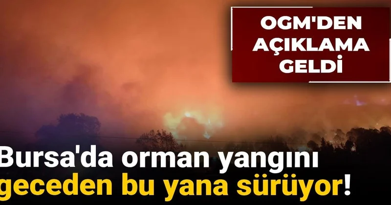 Bursa da orman yangını geceden bu yana sürüyor! OGM den açıklama