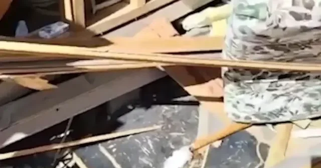 Uludağ da ayı girdiği barakayı talan etti VİDEO İZLE