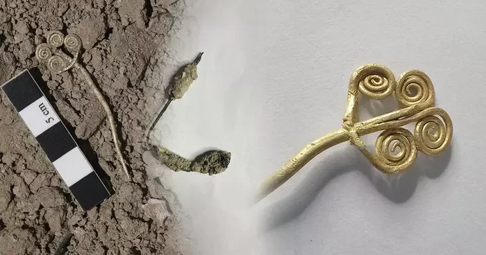 Troya da erken Tunç Çağı na ait 4 bin 500 yıllık altın broş ve ender yeşim taşı gün yüzüne çıkarıldı!