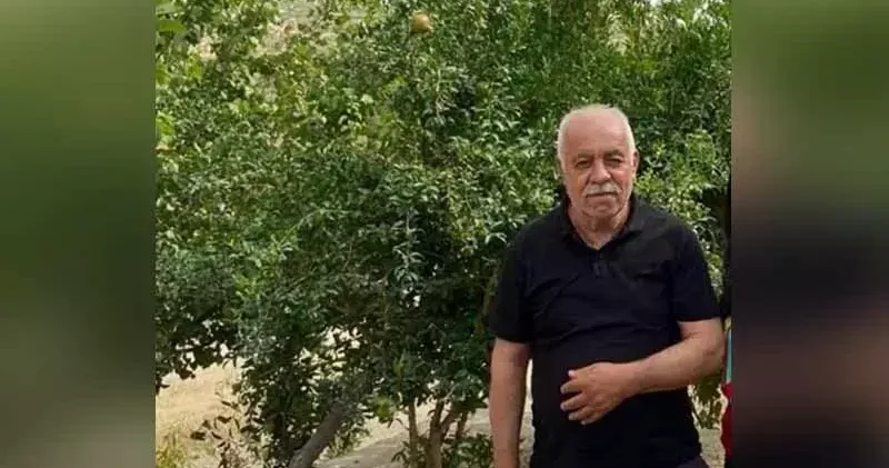 Ceviz toplamak için çıktığı ağaçtan düşen muhtar öldü