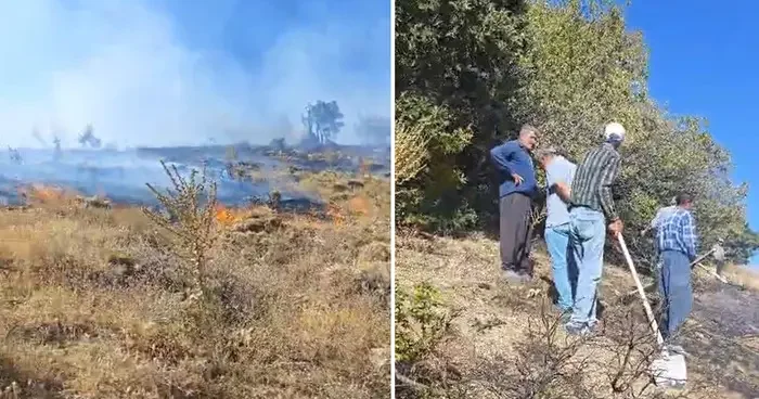 Sincik ilçesinde korkutan orman yangını!