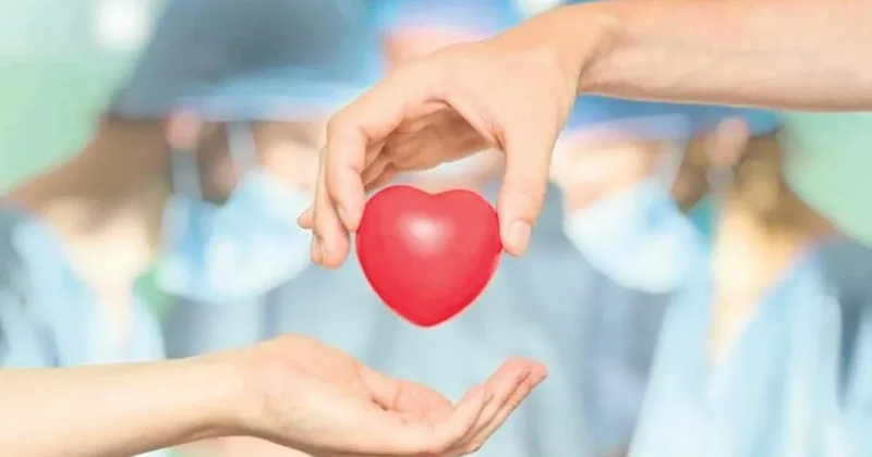 Organ bağışında yeni dönem
