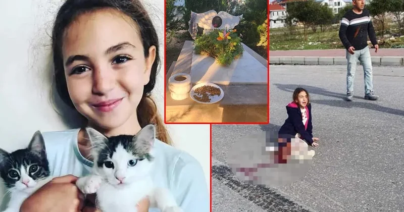 SON DAKİKA... Mahra Melin Pınar Köpeklerden kaçarken kamyonun altında kalmıştı: Talihsiz kızın mezarına büyük saygısızlık!