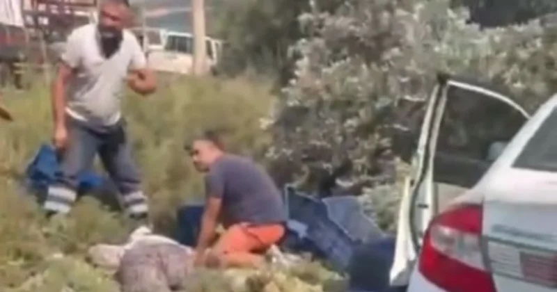 Mersin de otomobil bahçede çalışan işçilerin arasına daldı: Ölü ve yaralılar var Sözcü Gazetesi