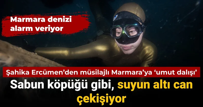 Şahika Ercümen müsilajlı Marmara Denizi ne daldı: Suyun altı can çekişiyor