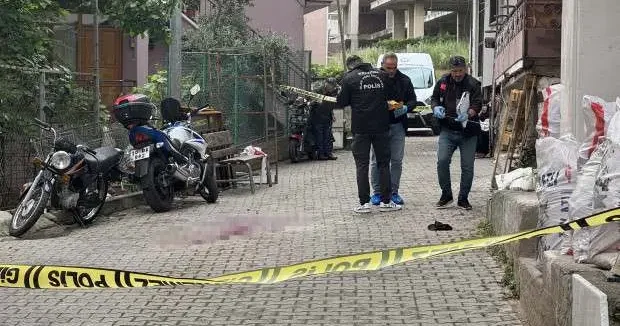 Kocaeli haberleri Kocaeli de kardeş cinayeti: 1 tutuklu 28 Mayıs 2025