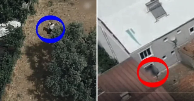 Bursa da film gibi operasyon: Firari hükümlü dronla takip edilip yakalandı Gündem Haberleri