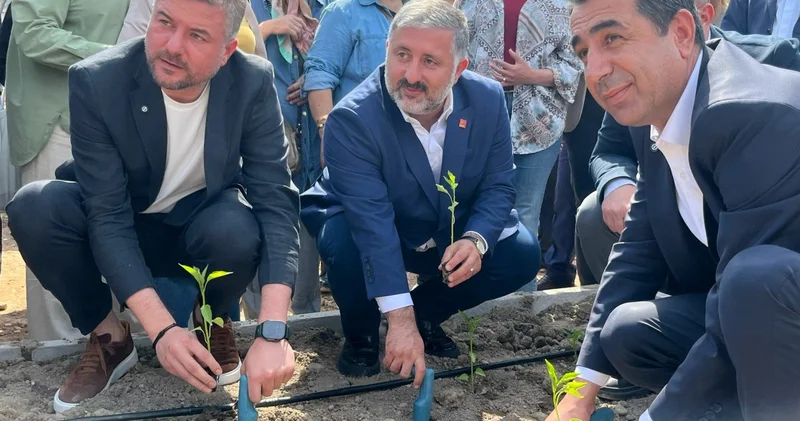 Buca da sabote edilen sera için fide ekildi: Hain saldırı üretimi durdurmayacak