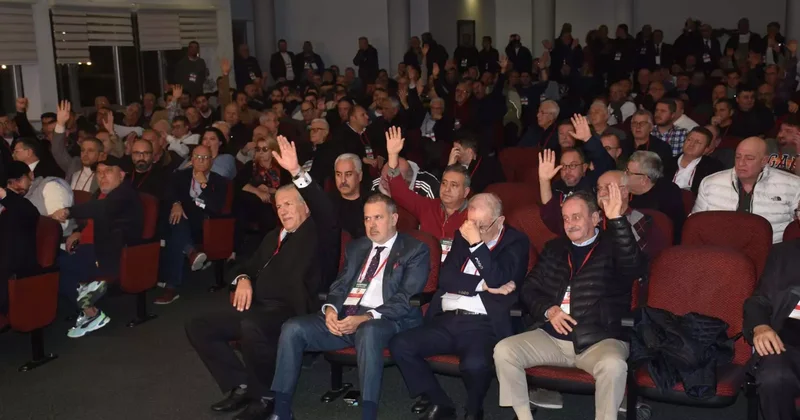 113 yıllık çınar sahipsiz kaldı: Seçime bir kala bir aday yok