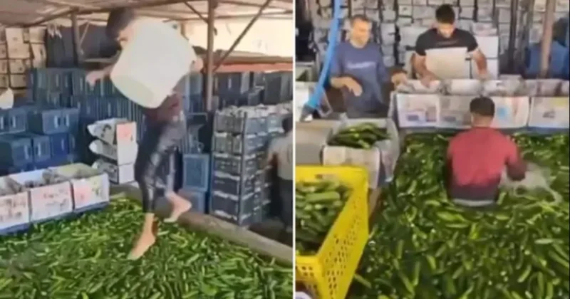 Çıplak ayakla salatalık havuzuna daldı Sözcü Gazetesi