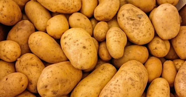 Rusya da patates altınla yarışıyor: Yüzde 166 arttı Dünya Haberleri
