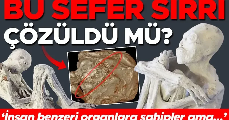 Çölde başlayan gizemli hikâye bilimi karıştırdı: Bu sefer sırrı çözüldü mü? ‘İnsan benzeri organlara sahipler ama...’