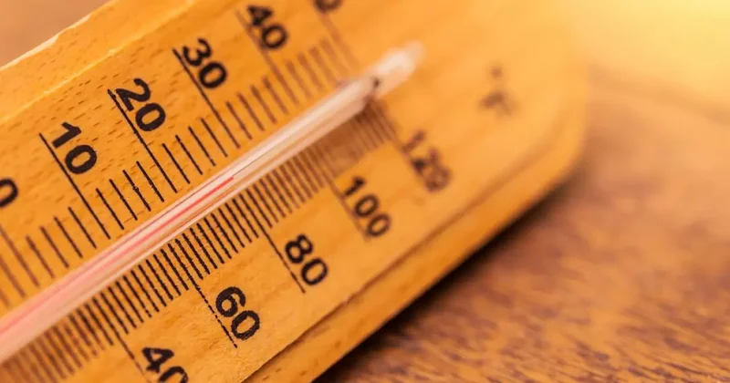 Dünya Meteoroloji Örgütü duyurdu: Gelecek 5 yıla dikkat!