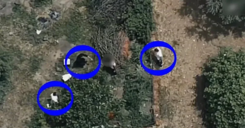 İznik te 7,5 yıl hapisle aranan hükümlü dronla takip edilip yakalandı Sözcü Gazetesi