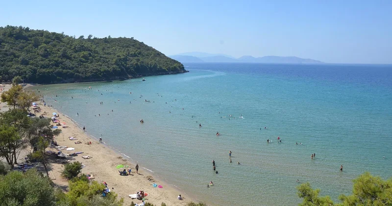 Aydın da tatilci kadının çantası, yaban domuzları tarafından kaçırıldı