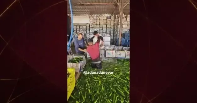 Adana dan mide bulandıran görünütüler
