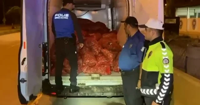 Kaçak midye taşıyan 2 kişiye toplam 88 bin lira ceza Samsun Haberleri