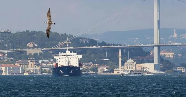 Türk Boğazlarında su altı ses kirliliği Düşünce Günlüğü Haberleri