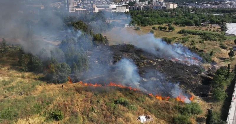 İzmir de ağaçlık ve otluk alanda yangın çıktı Güncel haberler