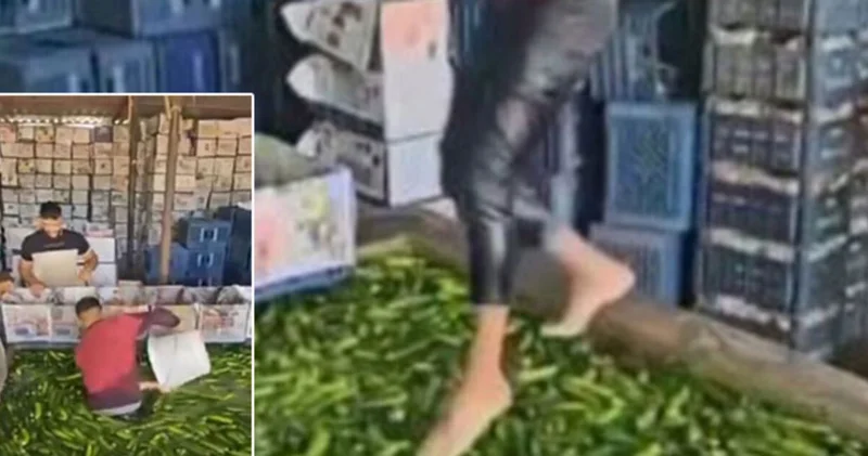 Sosyal medyada tepki çekmişti! Ayaklarıyla salata yıkamıştı SON DAKİKA HABERLERİ Son dakika haberleri