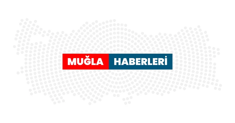 Muğla da 10 yıl önce dikilen sakız ağaçlarında ilk hasat için çizim yapıldı Muğla Haberleri