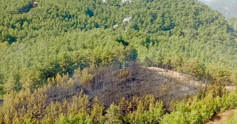 Marmaris te çıkan orman yangını kontrol altına alındı! Yangında 2 dekar alan zarar gördü