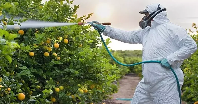 Türkiye de en fazla pestisit bulunan 10 gıda! Bana 2 kilo zehir ver diyor resmen!