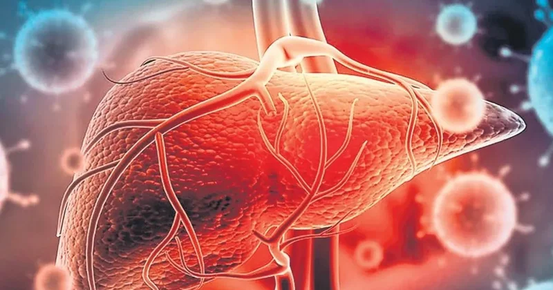 AB’den tatil beldelerinde Hepatit A uyarısı