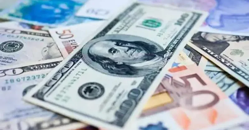 Başkan adayından tuhaf talep: Dolar 60 TL olsun
