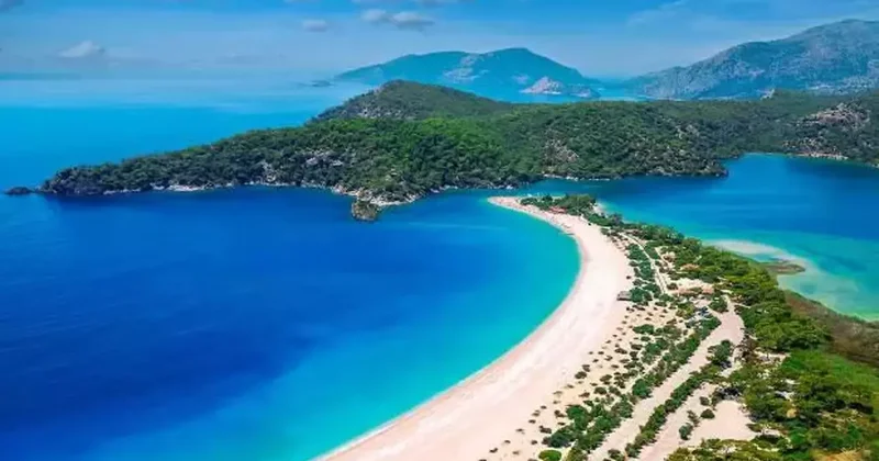 Sektör kendi kendini baltalıyor: Altın yumurtlayan tavuğu kesiyoruz!