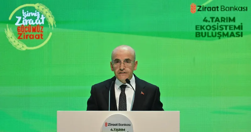 Bakan Şimşek: Son bir yıldır kesintisiz şekilde devam eden dezenflasyon süreci söz konusu