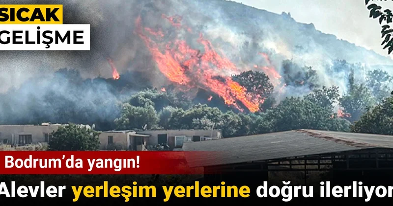 Bodrum’da yangın! Alevler yerleşim yerlerine doğru ilerliyor