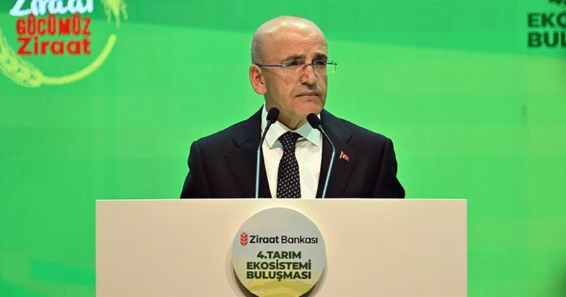 Bakan Şimşek: Şoklara karşı ekonomimizi çok daha güçlendireceğiz Para Haberleri