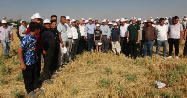 TZOB Genel Başkanı Bayraktar: Kuraklık afeti bizi yormaya devam edecek Kilis Haberleri