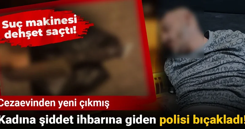 Suç makinesi dehşet saçtı! Kadına şiddet ihbarına giden polisi bıçakladı!