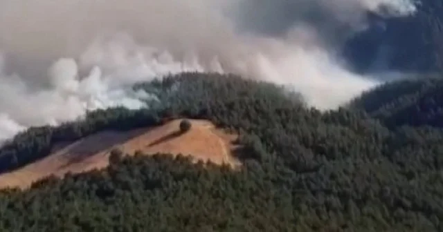 Sakarya’da dumanlar gökyüzünü örttü: Helikopter görüntüsü yangının boyutunu gözler önüne serdi VİDEO İZLE