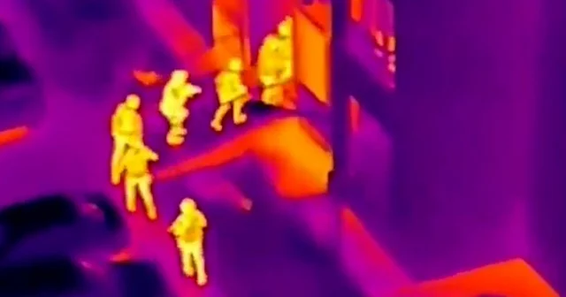 48 ilde siber suç operasyonları: 284 gözaltı VİDEO İZLE