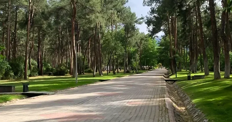Parkta oturan genç kızları önce takip sonra taciz etti