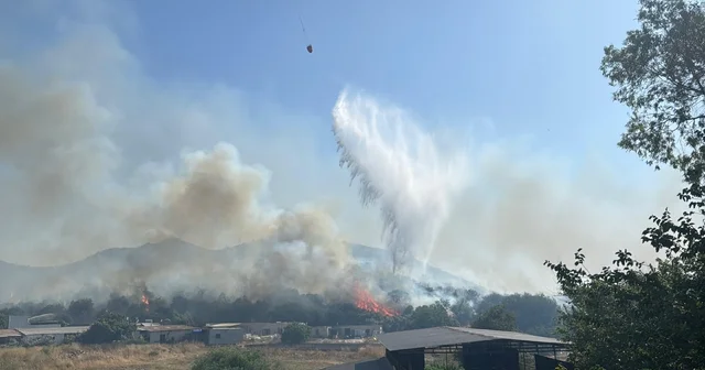 Bodrum da makilik alanda çıkan ve rüzgarla yayılan yangına müdahale ediliyor Muğla Haberleri