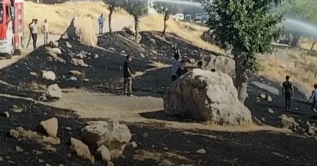 Şırnak ta menemen yapmak isteyen çocuklar arazide yangın çıkardı VİDEO İZLE