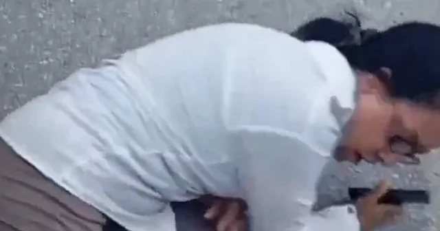 Sahipsiz köpekler toplanmasın diye bayılma numarası yaptı VİDEO İZLE
