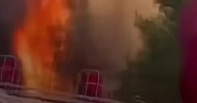 Sakarya da orman yangınında itfaiyecilerin ölüm kalım savaşı kamerada VİDEO İZLE