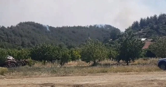 Sakarya Taraklı’da alevlerin tehdit ettiği köyler boşaltılıyor VİDEO İZLE